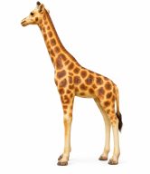 GIRAFFE STATUE 230 CM | KA-PM02