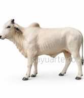 COW STATUE | KA-PM06