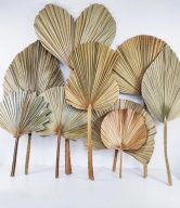 DRIED LEAF BOHO DECOR (MOQ: 10 pcs)