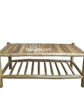 TWIG COFFEE TABLE 120x60 CM | 12302