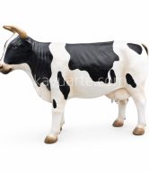 DAIRY COW | KA-PM58